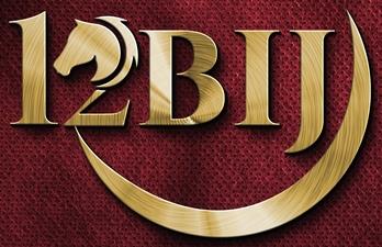 12BIJ